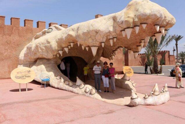 Croco parc tour from Agadir