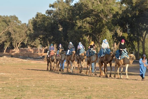 Camel Ride Agadir: Souss River Sunset Tour with Mint Tea photo 1