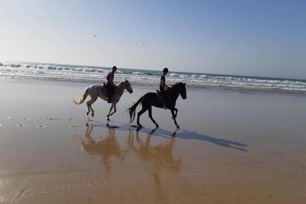 Horse Ride in Agadir: Eucalyptus Trail and Souss River photo 1
