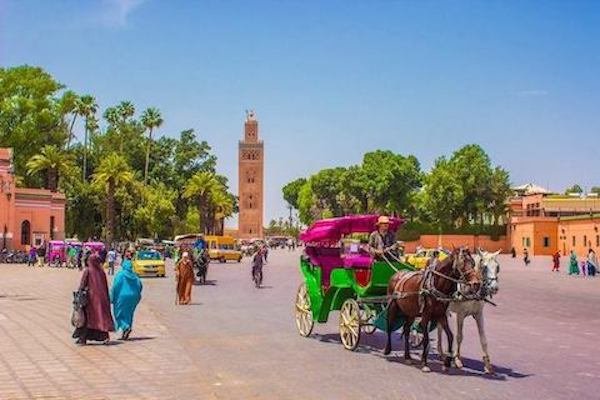 Marrakech Day Trip from Agadir with Guided Medina Tour photo 1