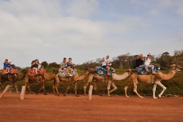 Sunset Camel Ride from Agadir and Taghazout photo 1